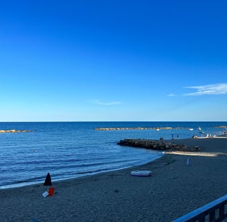 a beach with a person standing on a beach