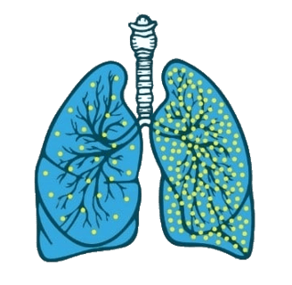 Illustration des poumons montrant les niveaux de molécules d'oxygène avant et après oxygénothérapie