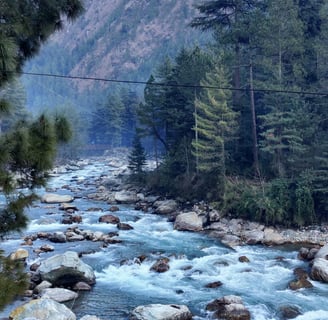 a river running through a forest with rocks and trees