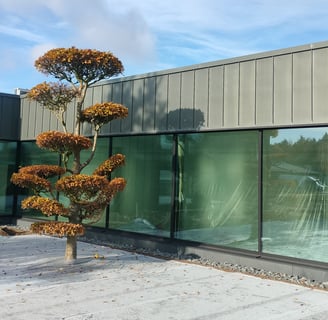 VMZINK cinko fasadas, metalinis fasadas