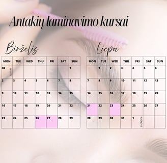 Antakių laminavimo kursai