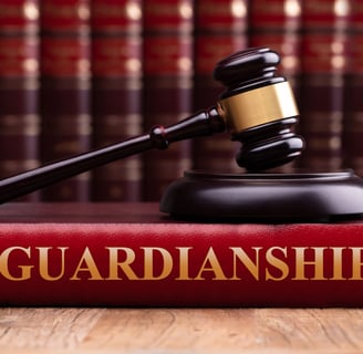 What is Guardianship?