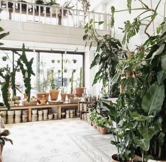 a room with a lot of potted plants and a balcony