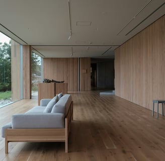 a couch in a room with a couch and a couch