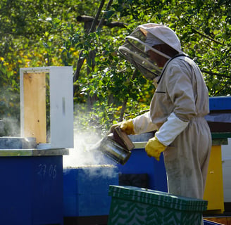 Beekeeper in protective gear using a smoker to tend to colorful hives in a lush garden setting