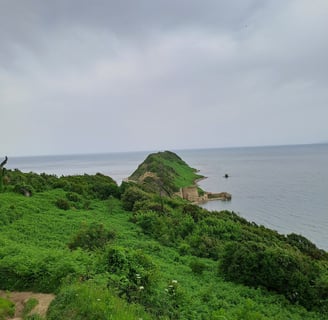 Cape Of Rodon