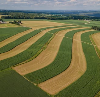 a large field with a farm and a farm in the background