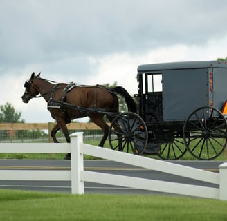 amish buggy