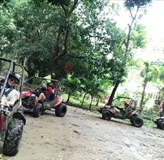Buggies plus zipline and sloths