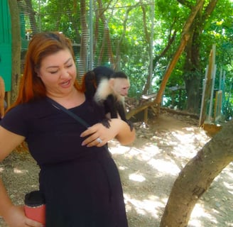 Dolphins plus monkeys and sloths