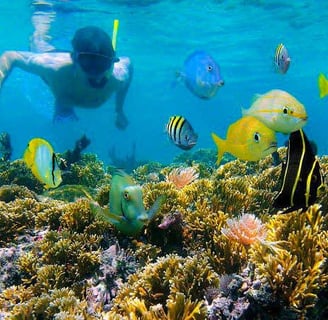 Roatan snorkeling tour