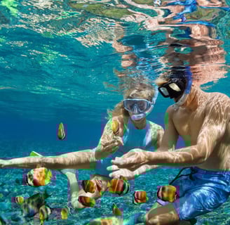 Snorkel Combo Package