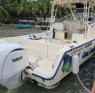 Sport fishing charters roatan
