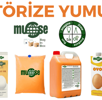 Pastörize Yumurta