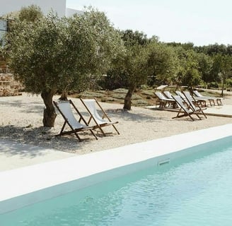 chairs in tree shade beside pool