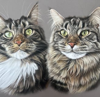 Pet portrait commission