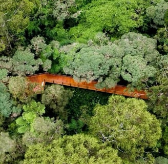 Decking works for Hunters Hill Council. Walkbridge for riverglade reserve Gladesville/Huntleys Cove