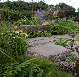 A Tree carved into a bench with plants in the foreground