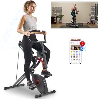Row and Ride exercise machine