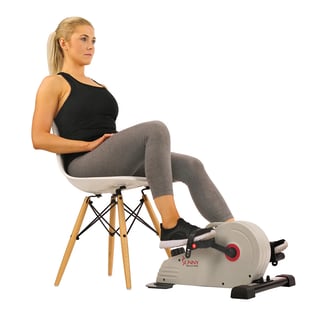 Mini exercise bike