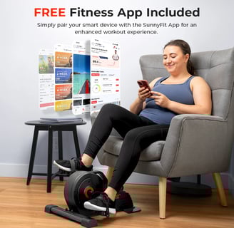 Mini exercise bike