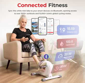 Mini exercise bike