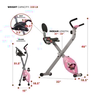 recumbent bike features