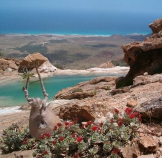Socotra homhil 