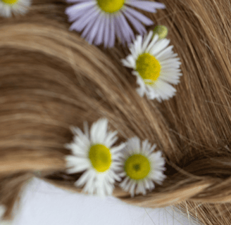Capelli castani intrecciati decorati con margherite bianche, simbolo di routine naturale per capelli