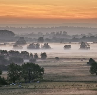 The Somerset Levels as dawn.