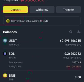 saldo binance 8 agustus 2024