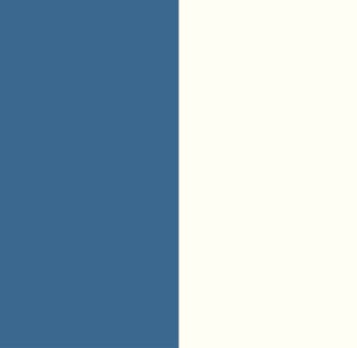 VISUEL 2 COULEURS FOND SITE