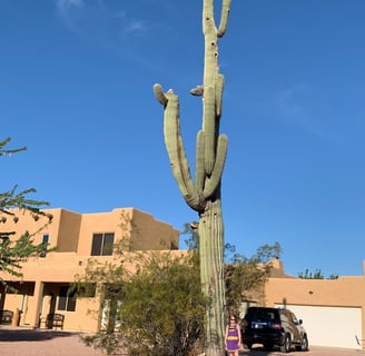 apache junction arizona, superstition mountains, desert, vacation, snow cones, poolside fun
