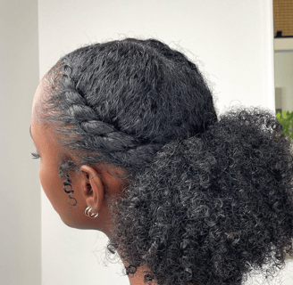 low natural hair ponytail