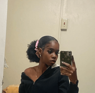 low natural hair ponytail