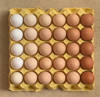Poultry Egg cold room and cold storage