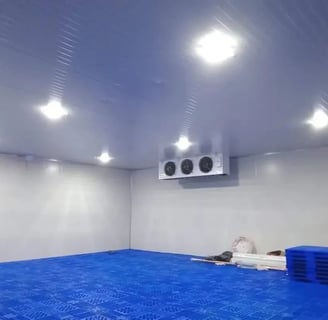 cold room for meat