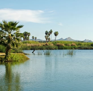 Estero de San José del Cabo