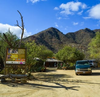 Sierra de La Laguna, Los Cabos