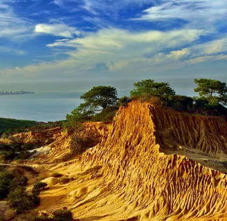 Torrey Pines, San Diego