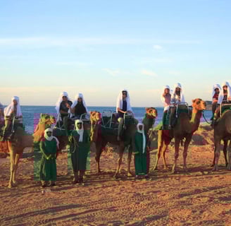 Paseo en Camello en Los Cabos