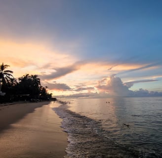 a beach with a sunset and palm trees
