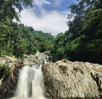 Quebrada valencia, buritaca, santa marta