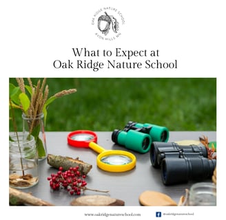 What to expect in a private nature school