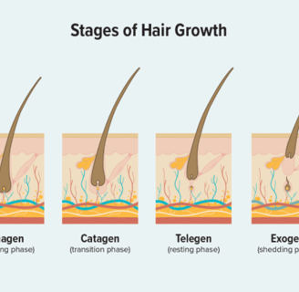 Stage of Hair growth 
