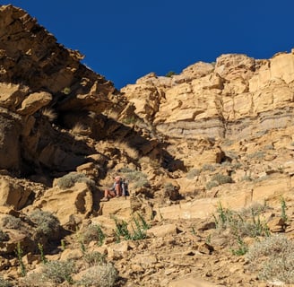 tarantula mesa, hayduke, backpacking