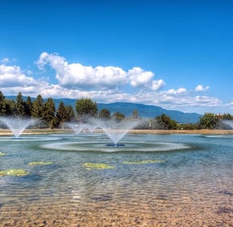 kirotravel taxi divonne les bains