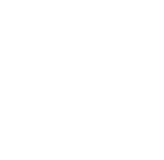 rodape logo ton