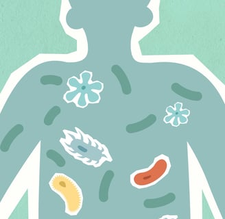 A healthy gut and its connection to physical fitness, represented by a person exercising 