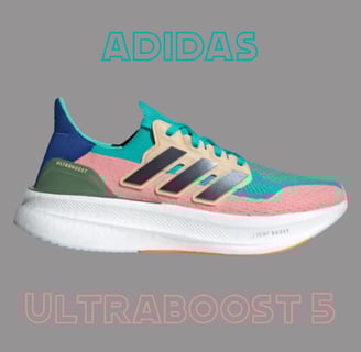 a pair of adidas sneakers with the words ultraboost 5
